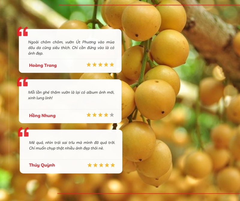 Review từ du khách 