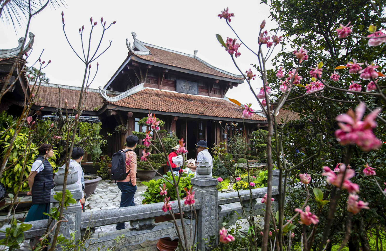 Trú Vũ Trà Quán – nơi du khách tìm về sự tĩnh lặng giữa hành trình khám phá