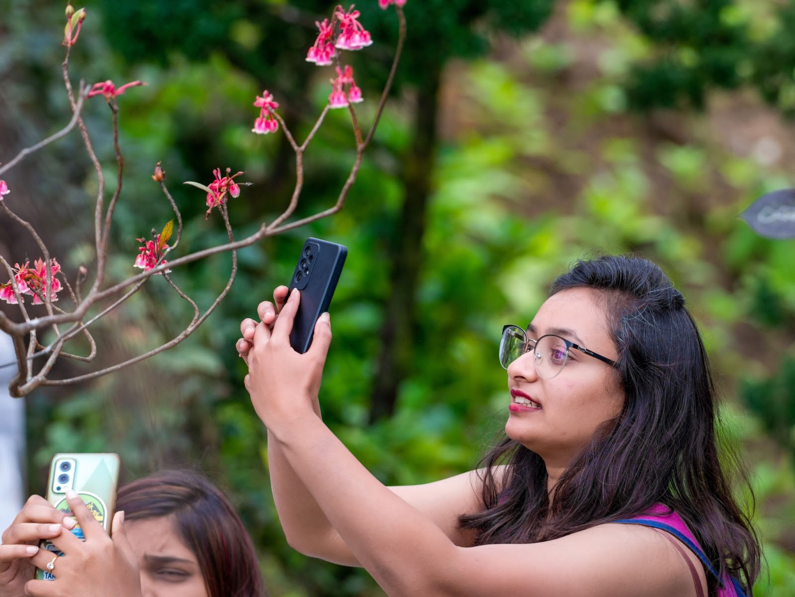 Giữa đào chuông, tulip và những giai điệu rộn ràng, Tết trên đỉnh núi trở nên trọn vẹn hơn bao giờ hết