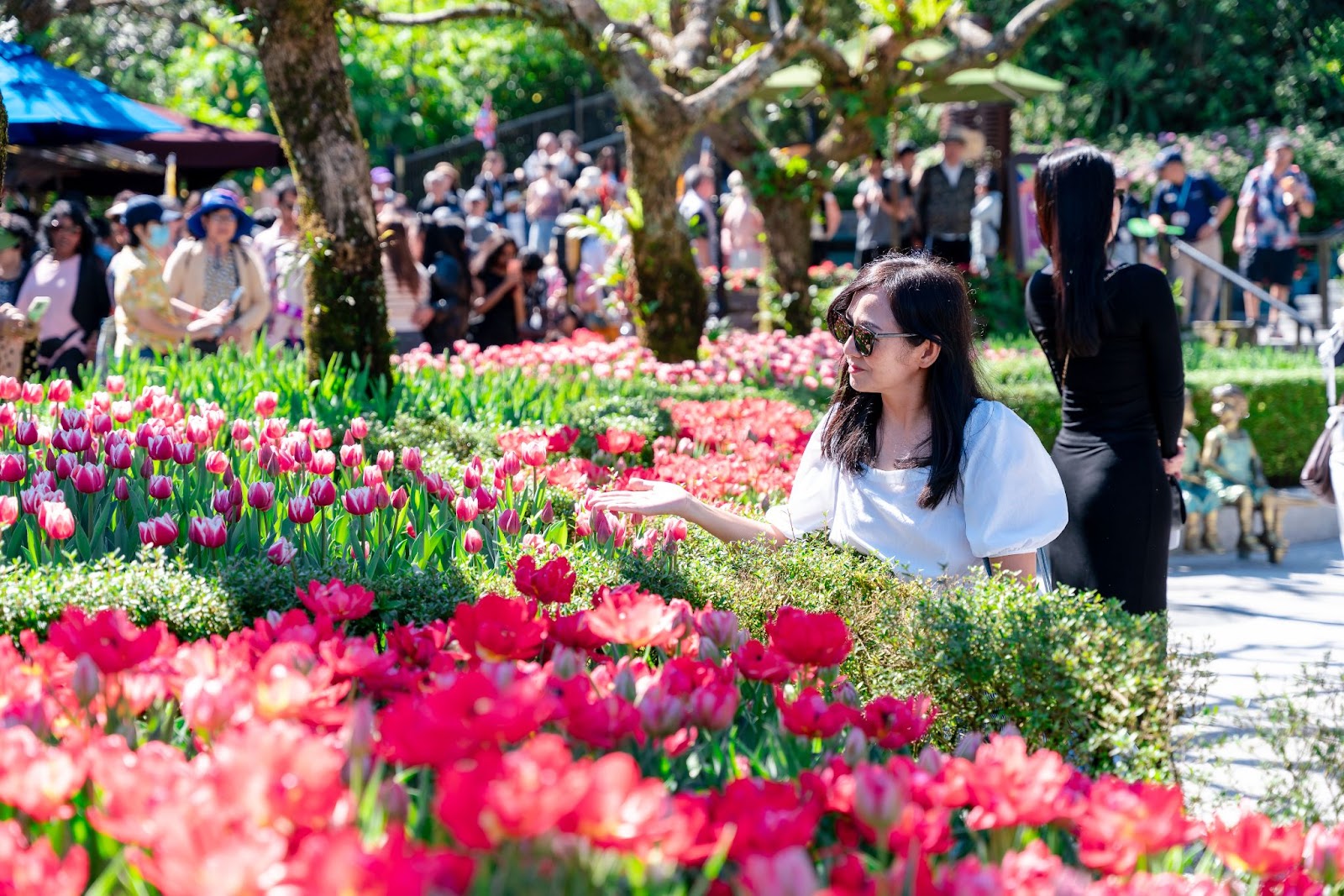 Không chỉ có hoa, mà còn là âm nhạc, lễ hội và những khoảnh khắc gia đình trọn vẹn đầu năm.
