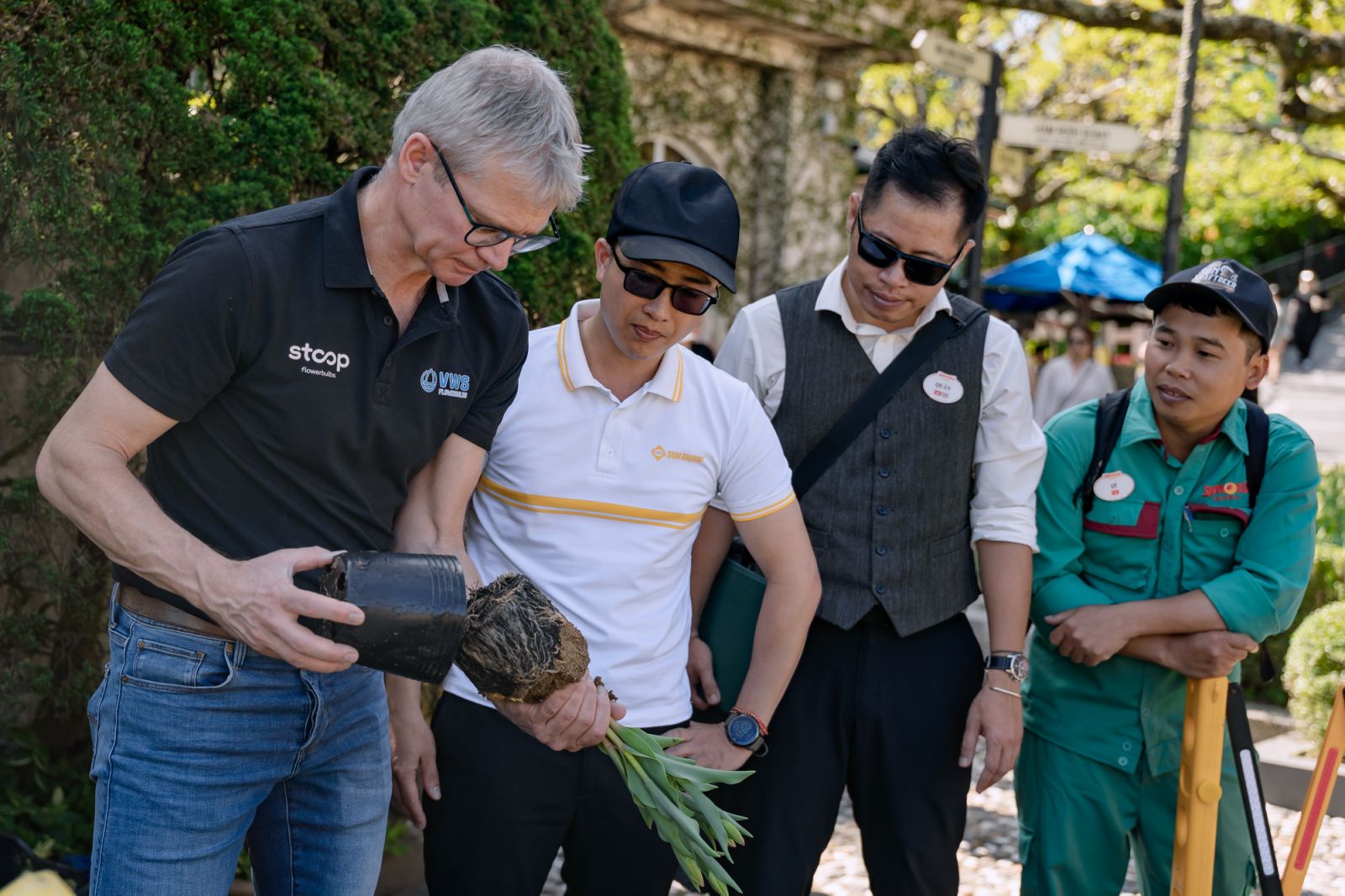 Chuyên gia Leon Van Kooten hướng dẫn kỹ thuật kiểm soát sinh trưởng và chăm sóc tulip cho đội ngũ nhân viên.