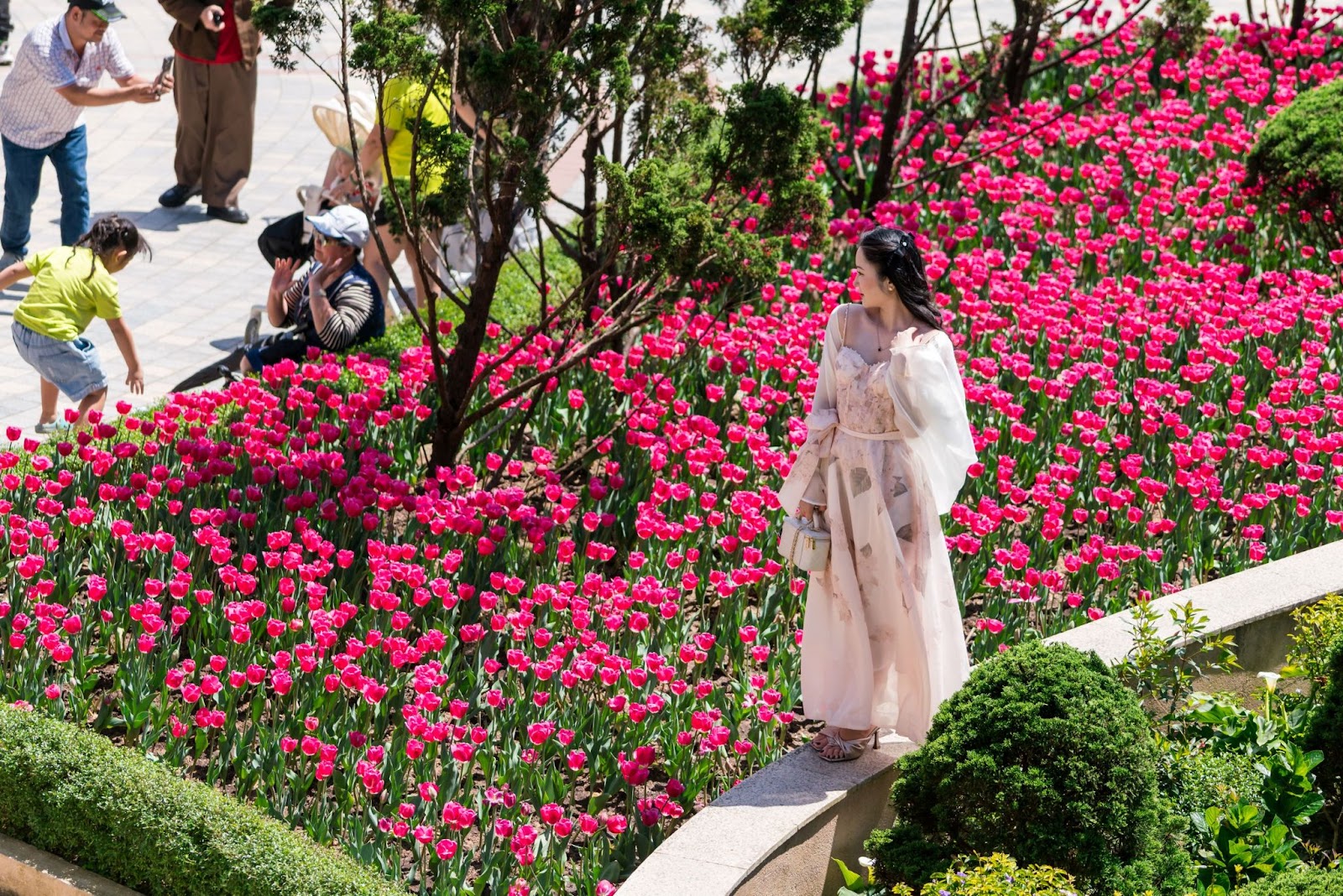 Du khách check-in giữa thảm hoa tulip rực rỡ được chăm sóc tỉ mỉ theo tiêu chuẩn quốc tế.