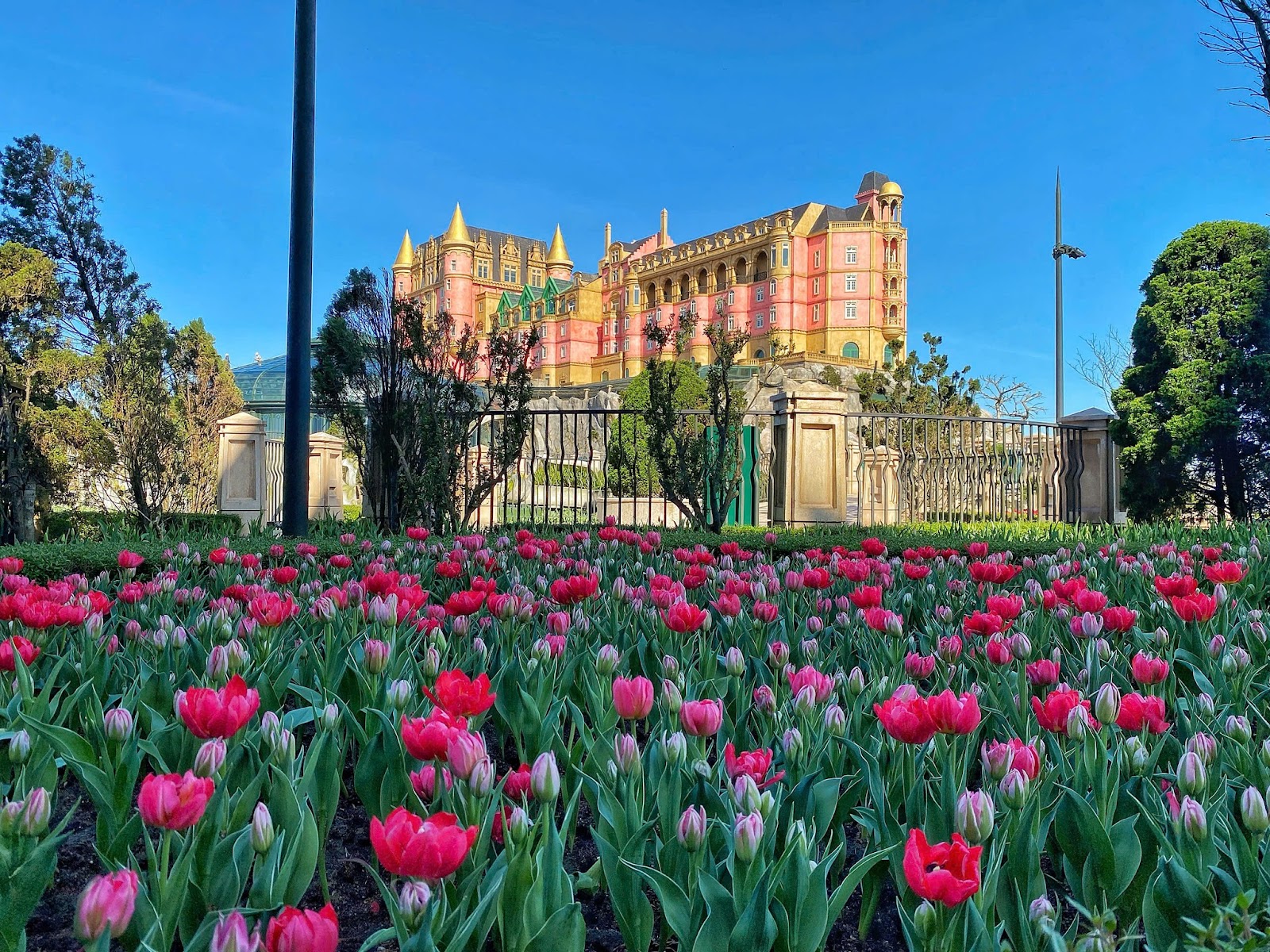 Sắc hoa tulip rực rỡ hòa quyện cùng kiến trúc châu Âu cổ kính trên đỉnh Bà Nà.