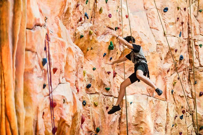 Leo núi trong nhà chắc chắn sẽ là một thử thách thú vị và “khó nhằn” với những du khách đam mê chinh phục