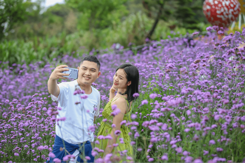 Một góc “tím mộng mơ” ngập tràn tại Vườn hoa Le Jardin D’Amour