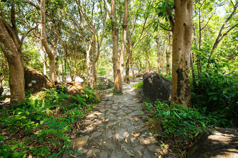 44 Khung Canh Nui Rung Trong Suoi Luong Hai Van Park