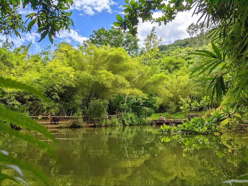 65 Khung Canh Non Nuoc Huu Tinh Tai Son Tra Tinh Vien