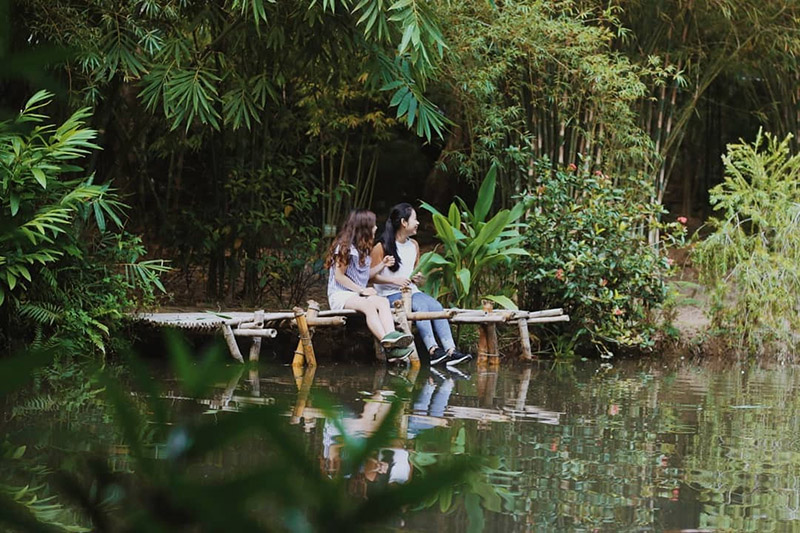 Sơn Trà Tinh Viên trên đường lên đỉnh bàn cờ