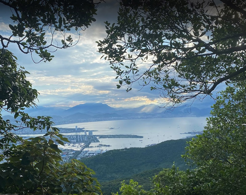 Thiên nhiên trên đỉnh bàn cờ