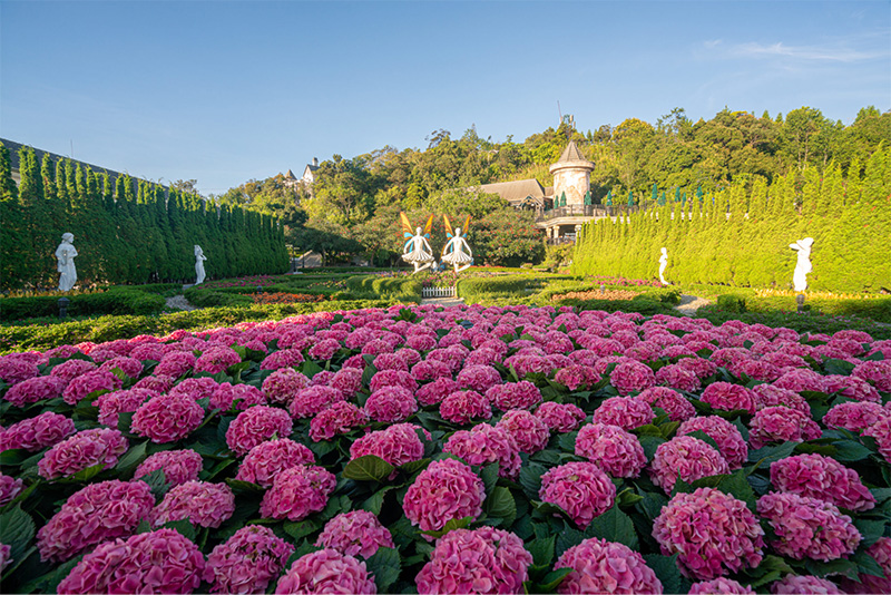 Vườn hoa Jardin d'Amour