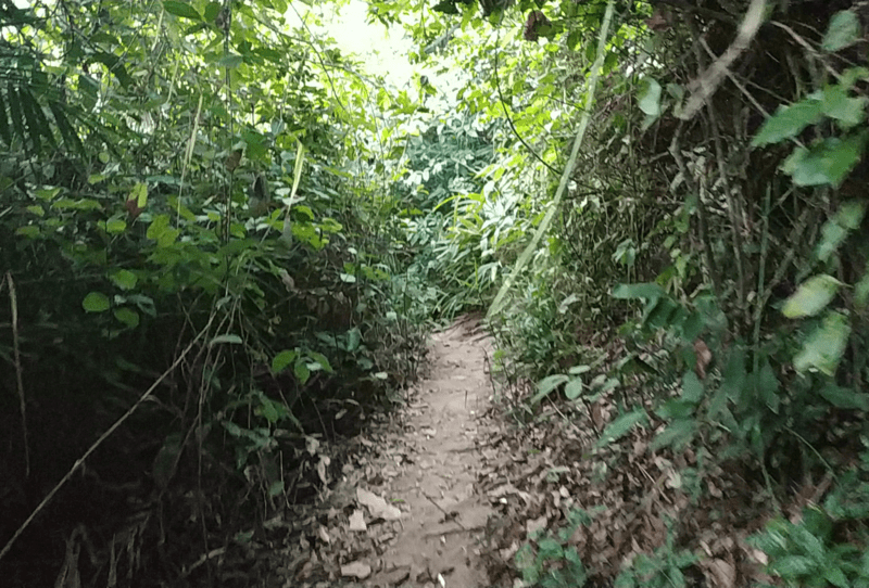 8 Doan Duong Rung Nho Hep Tron Truot Dan Xuong Mui Nghe