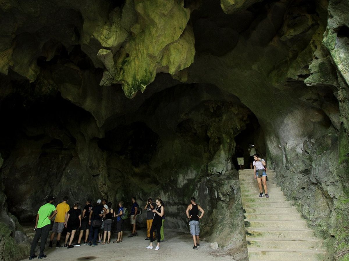 Trekking xuyên rừng già