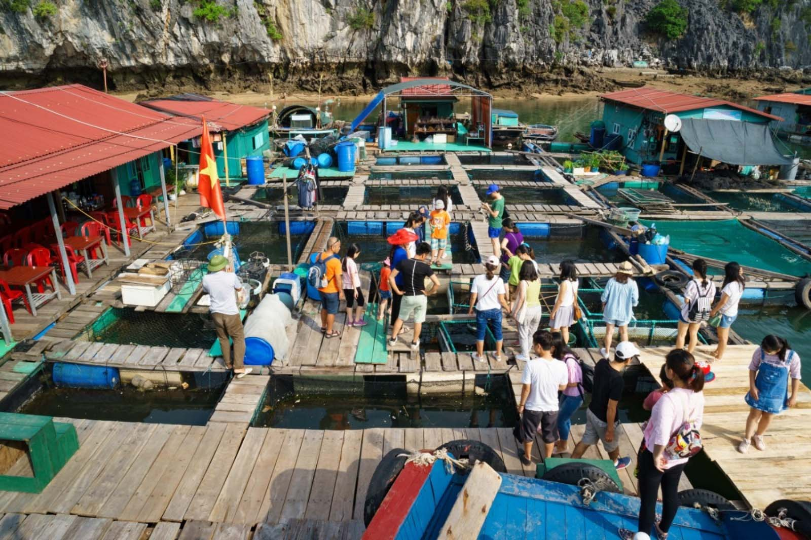 Làng chài Cái Bèo