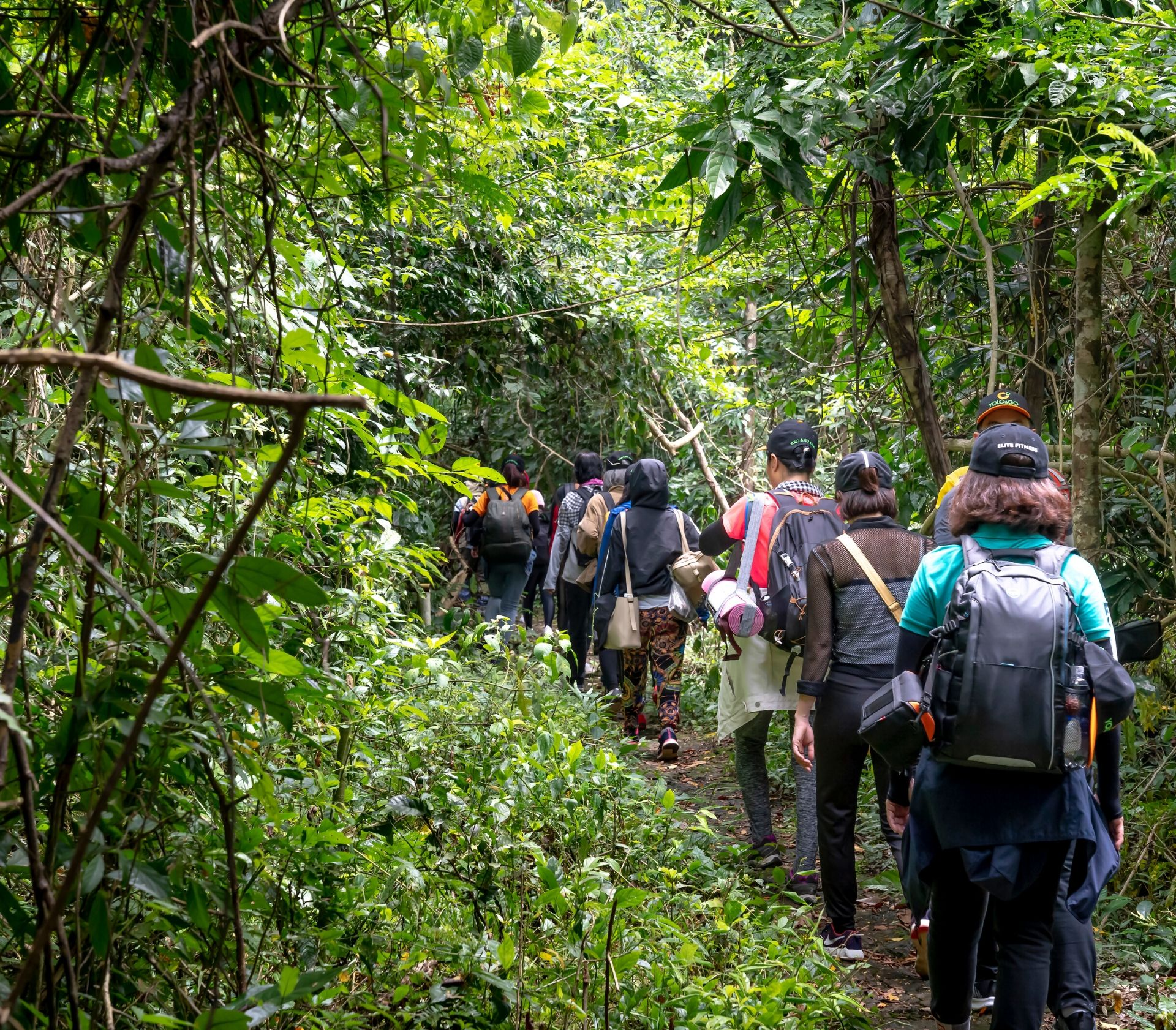 Trekking xuyên rừng già
