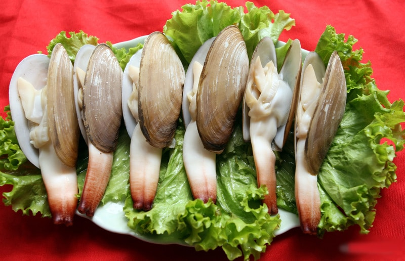 Hình thể con tu hài khá nhỏ nhắn
