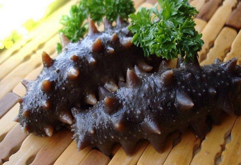Hải sâm được xem như một loại dược liệu thần kỳ