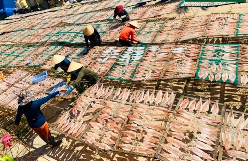 Người dân Hải Phòng thường chọn ngày nắng to nhất để phơi mực một nắng
