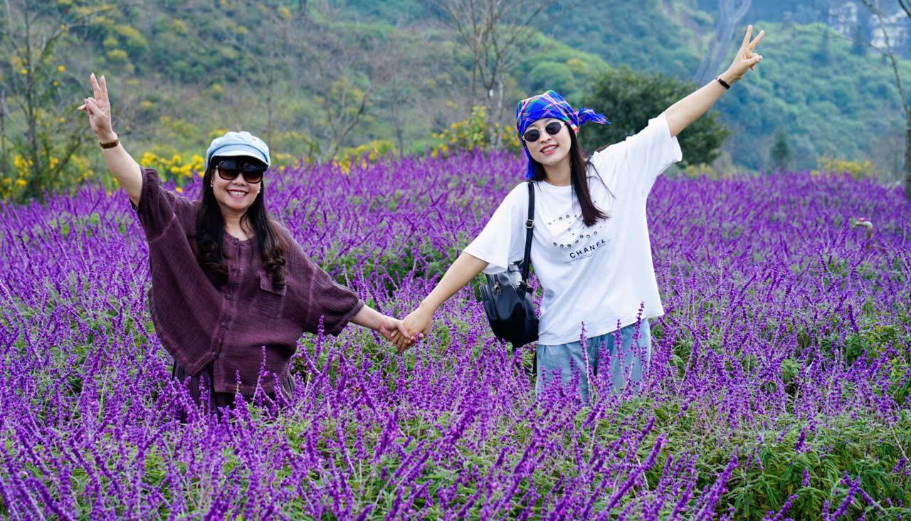 Đến Sa Pa mùa này, du khách sẽ thỏa sức check in với những thảm hoa trải dài bất tận.