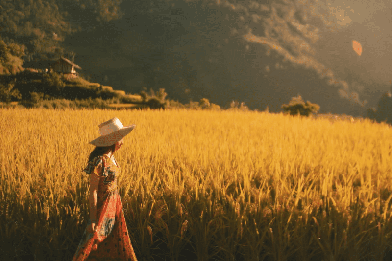 Thỏa sức check in cùng cánh đồng ruộng lúa đẹp mê mẩn (Nguồn: FB Bảo Ngọc)