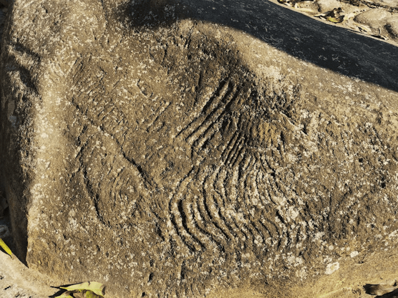 Những họa tiết, hoa văn hằn sâu trên phiến đá được ví như mật mã văn hóa của người xưa (Nguồn: Susanna Kwan)