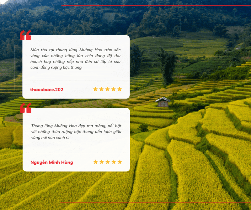 Review thung lũng Mường Hoa từ một số du khách