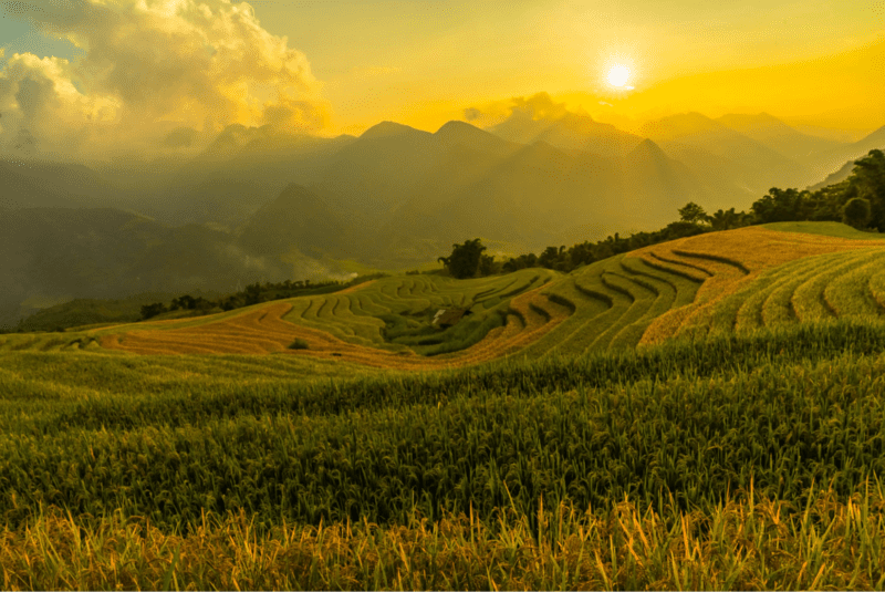 Ánh mặt trời ấm áp soi chiếu từng tấc đất, ngọn cây của thung lũng