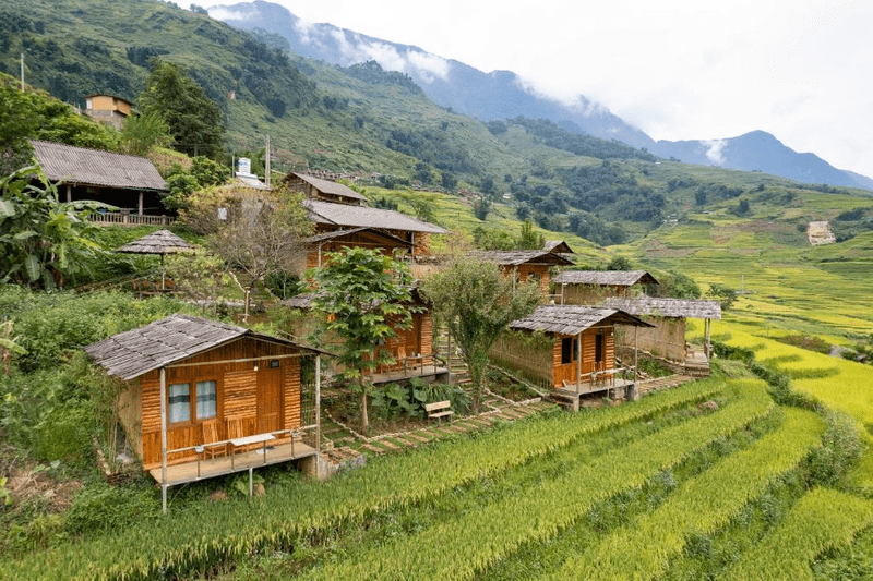 Khu homestay giản dị nằm giữa những thửa ruộng bậc thang (Nguồn: SaPa Farmer House)