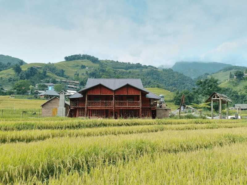 Căn homestay gỗ đỏ nằm nổi bật giữa sắc xanh ruộng đồng (Nguồn: H’Mong Eco House)