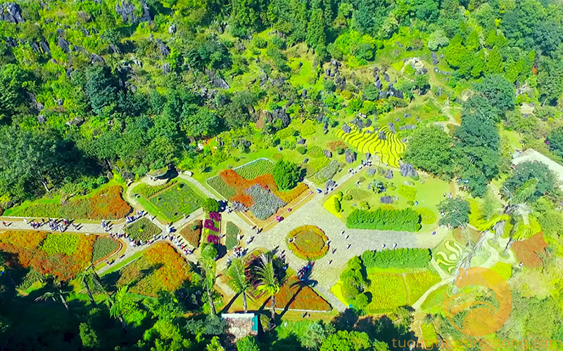 Một số loài hoa nở vào tháng 6 tô điểm thêm sắc màu cho núi Hàm Rồng (Nguồn: tươngtaccongdong.com)