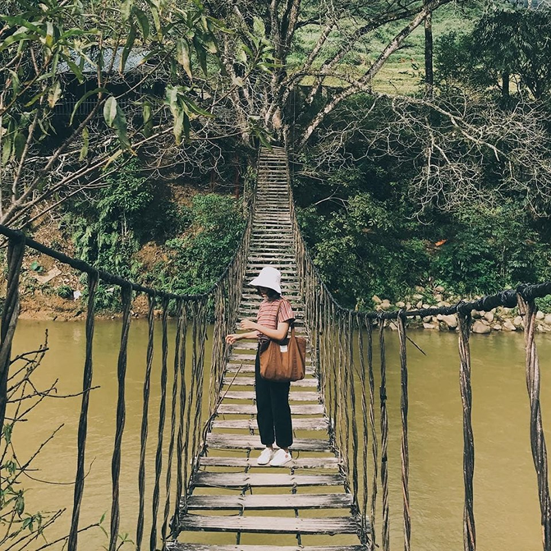 Cầu Mây bản Tả Van cũng là một địa điểm check-in quen thuộc với nhiều du khách (Nguồn: Nhất Long Travel)