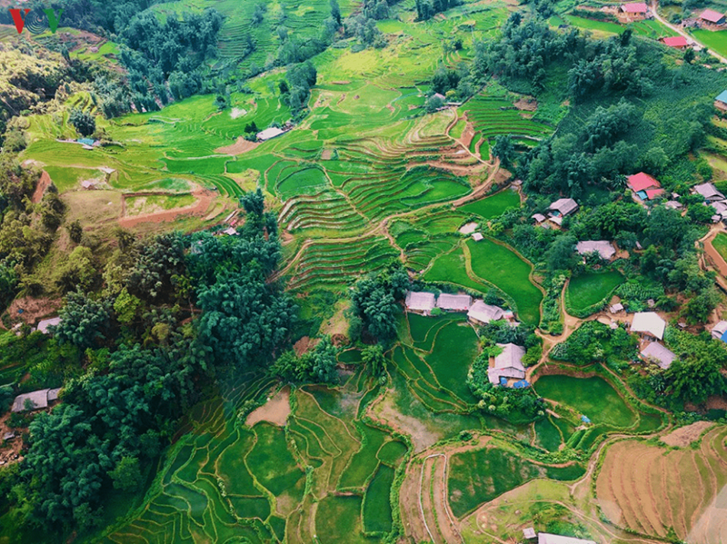 Vẻ đẹp bình dị mà nên thơ của thung lũng Mường Hoa khi nhìn từ cáp treo Fansipan (Nguồn: VOV Du lịch)