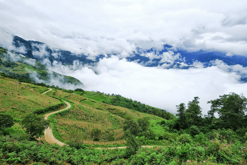 Thiên nhiên bao la hùng vĩ hai bên đường với mây mù vờn quanh, con đường đèo như đi xuyên vào mây trời hư ảo (Nguồn: Tạp chí Công Thương)