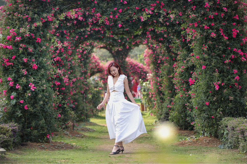 Dạo bước như “nàng thơ” dưới những vòm hồng được tạo hình đẹp mắt