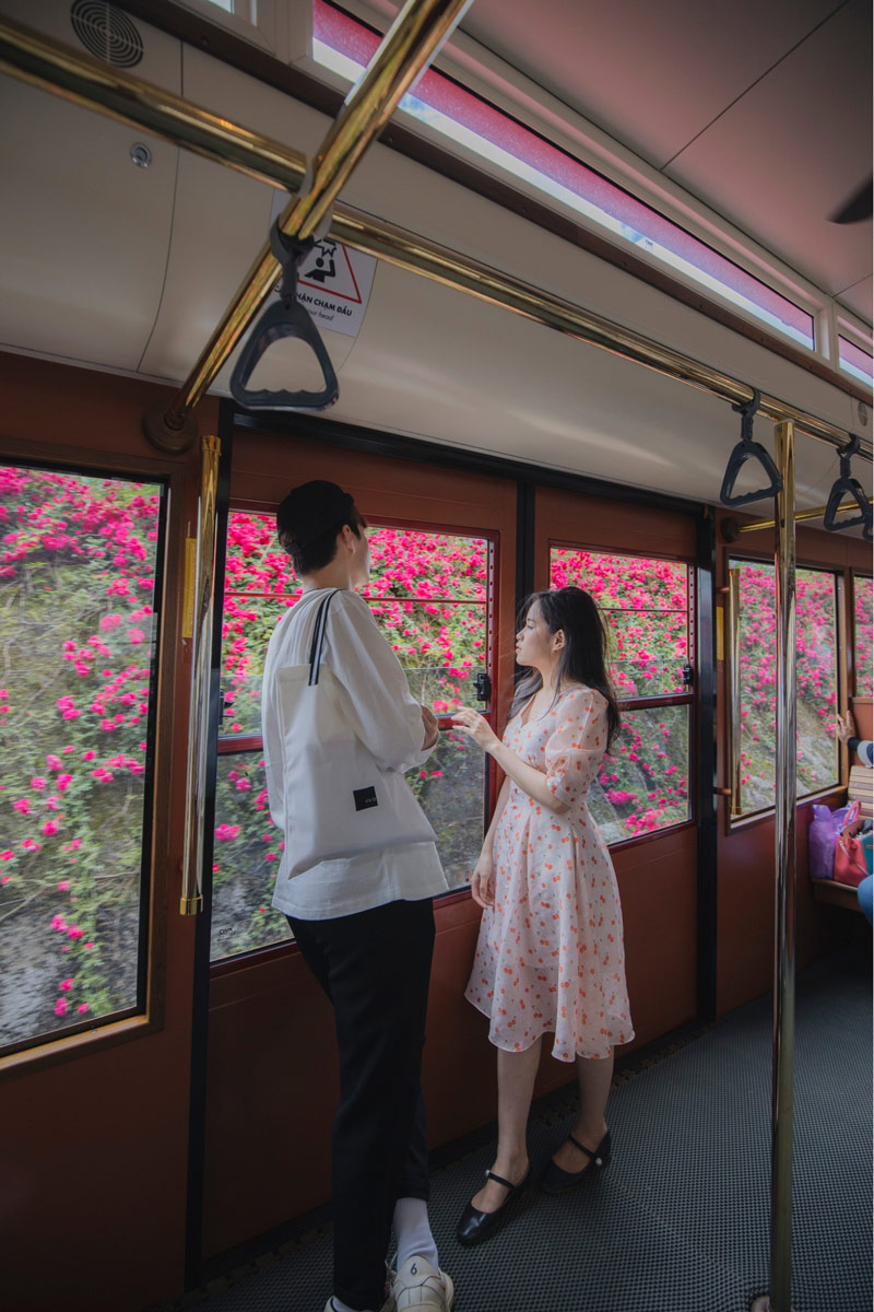 Bức ảnh check-in tường hoa ngay từ bên trong toa tàu hỏa