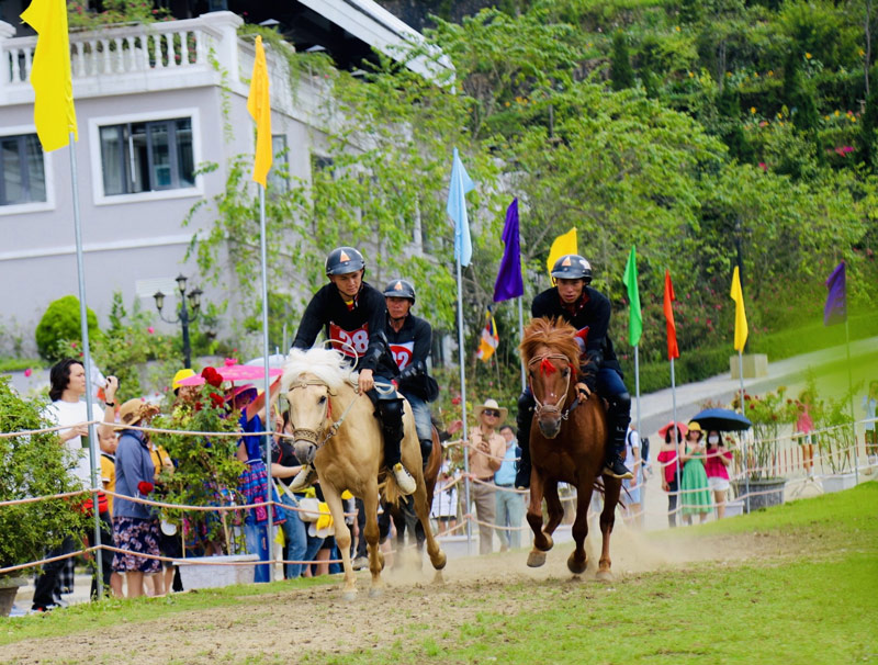 Cuộc tranh tài của các nài ngựa mang đến những giờ phút hồi hộp, gây cấn cho du khách