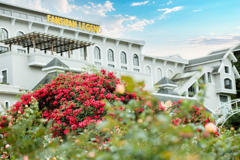 Thung lũng hoa hồng Sapa vẫn đang tiếp tục giữ vững danh hiệu “Thung lũng hoa hồng lớn nhất Việt Nam”