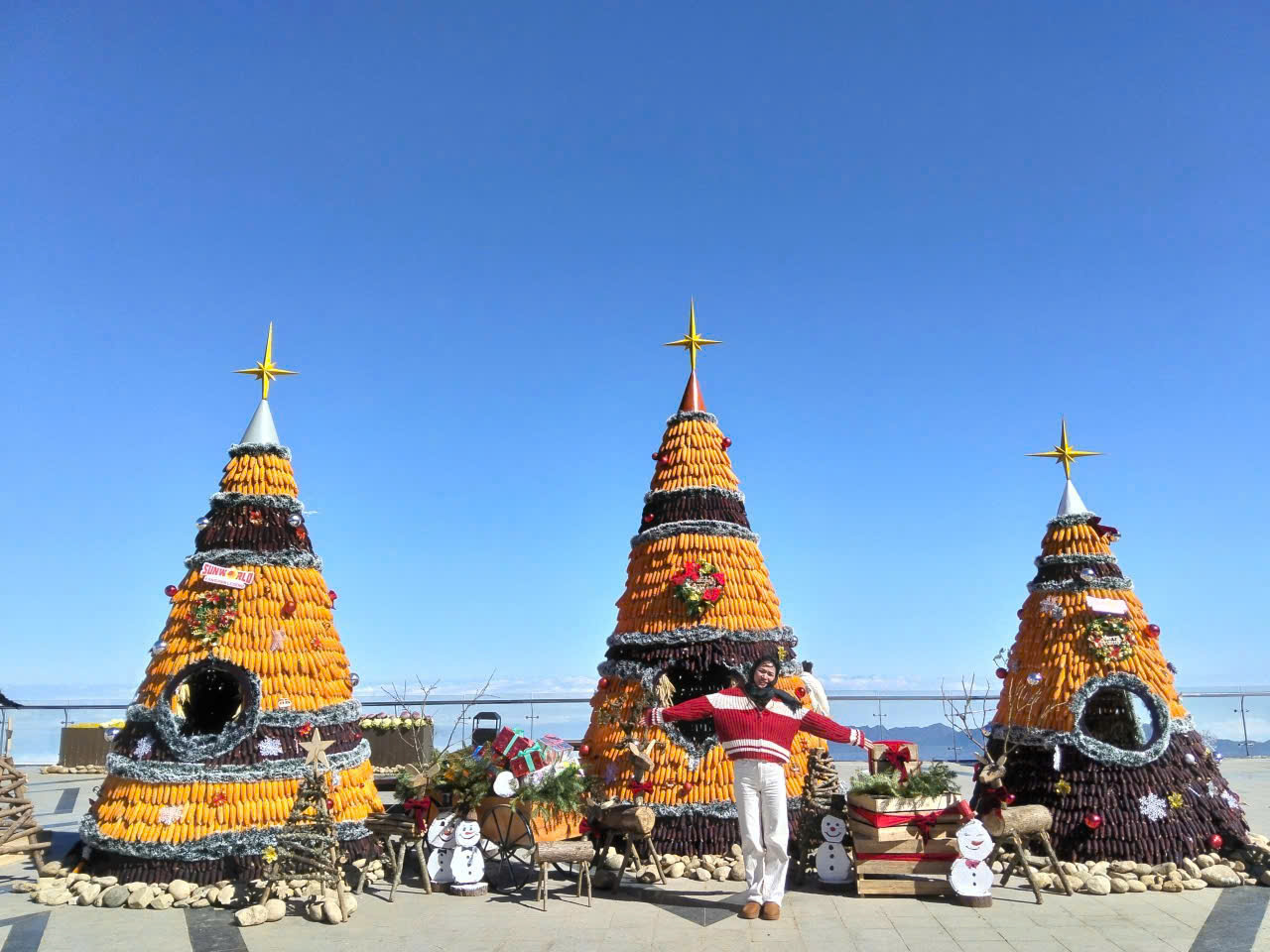 Du khách thích thú check-in với những cây thông độc đáo trên đỉnh Fansipan.