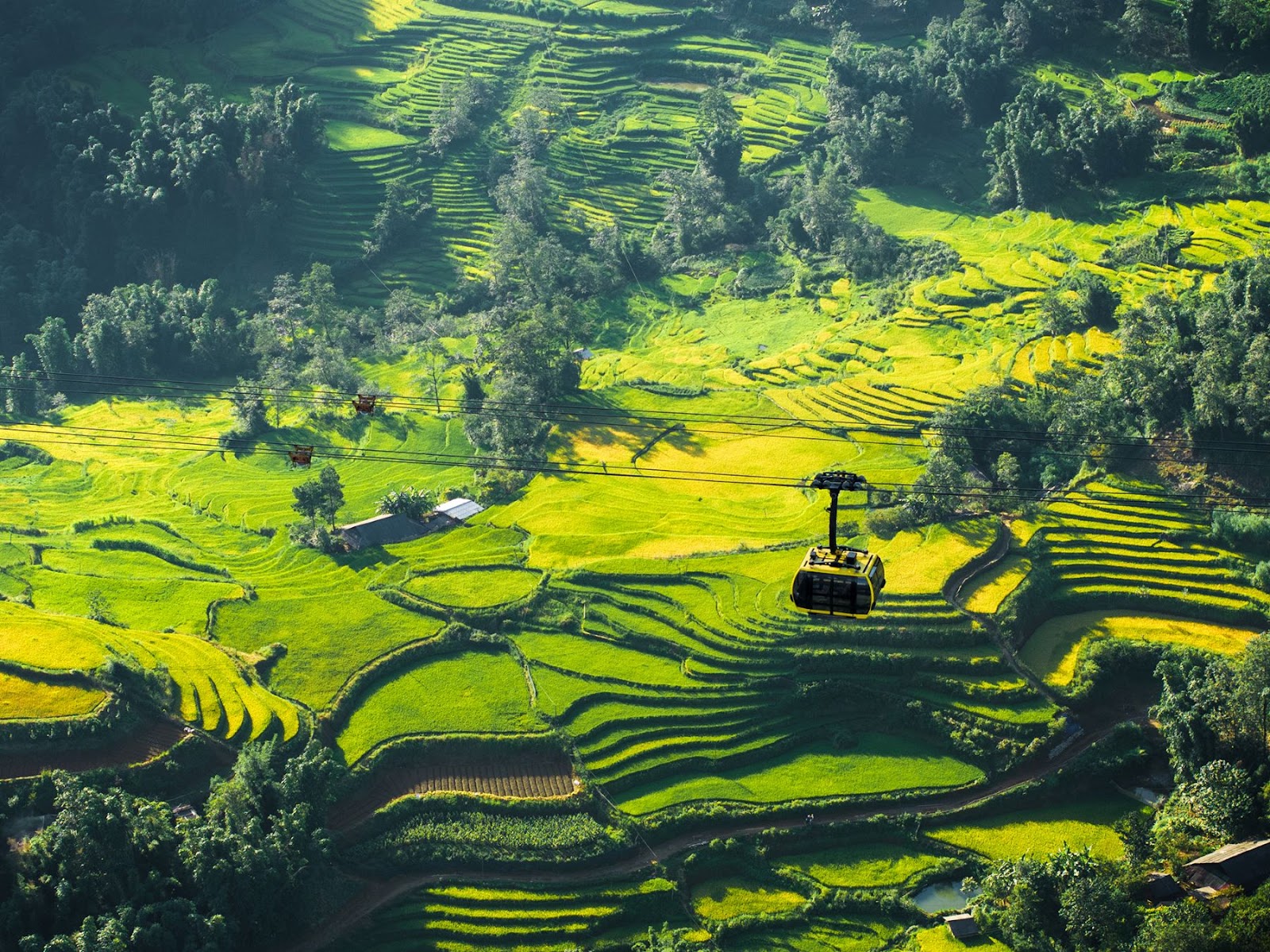 Tuyến cáp treo kỷ lục Fansipan đưa du khách qua những khung cảnh kỳ vĩ 