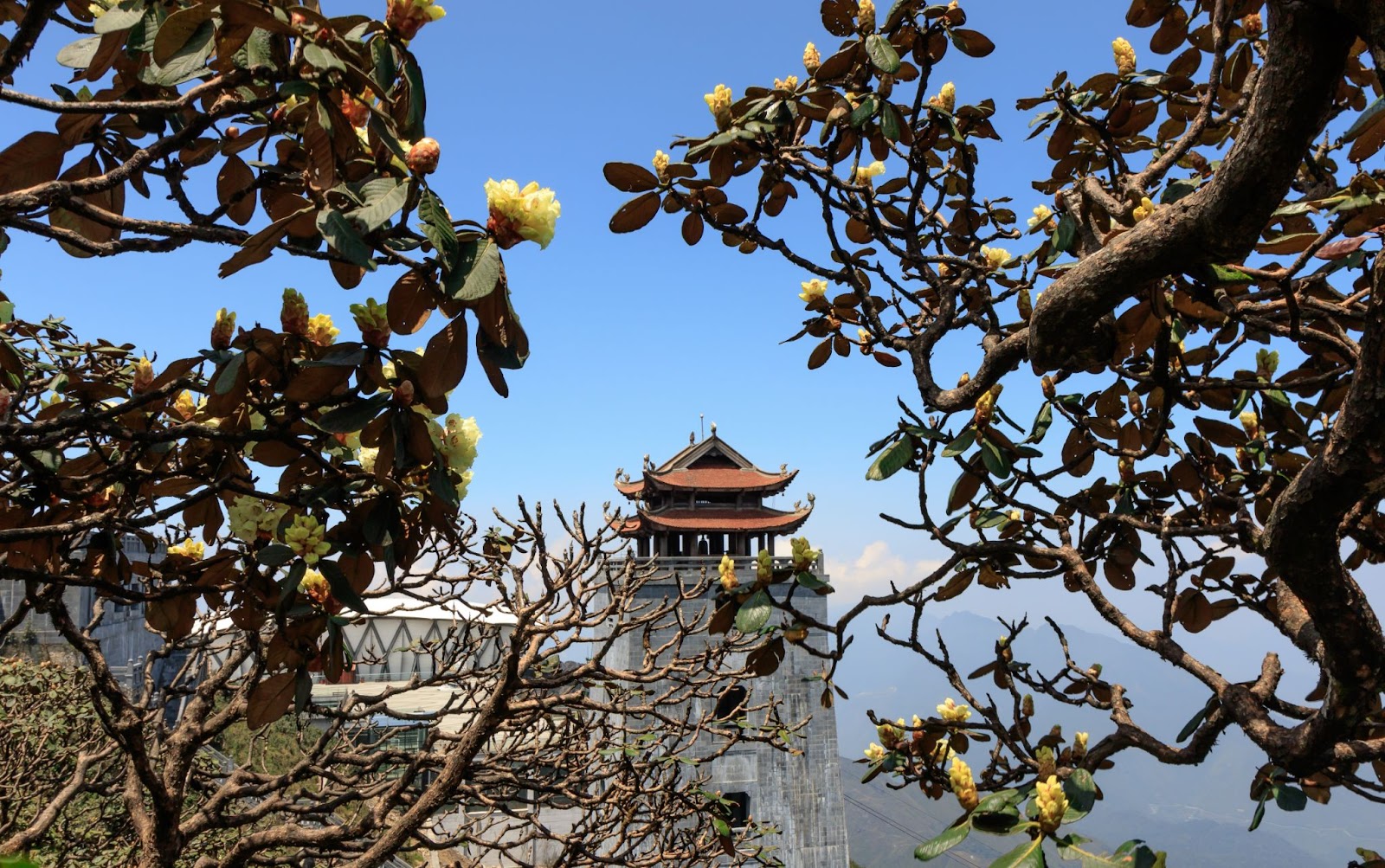 Quần thể tâm linh trên đỉnh Fansipan