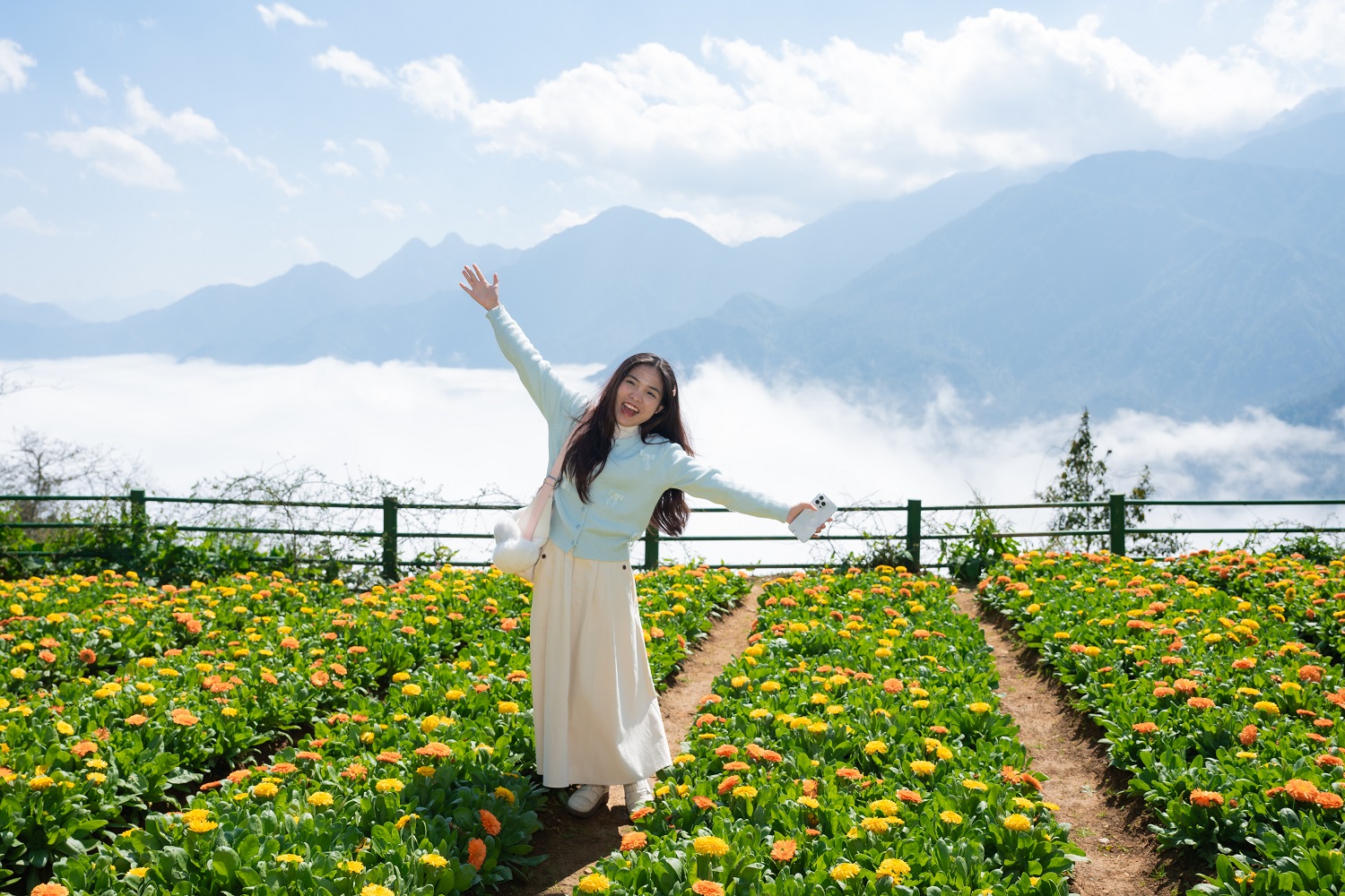 Sắc cam của hoa Susi bừng sáng giữa trời xanh mây trắng, tất cả tạo thành bức tranh rực rỡ.