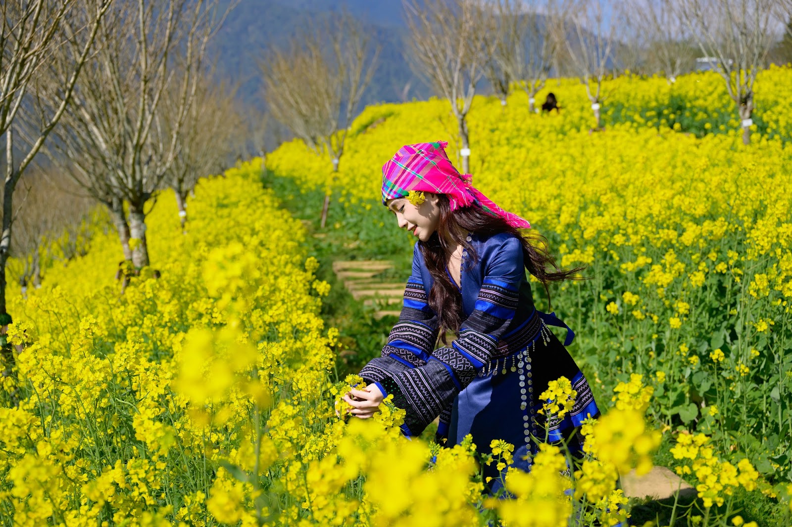 Du khách mê mẩn trước vẻ đẹp của đồi hoa cải.