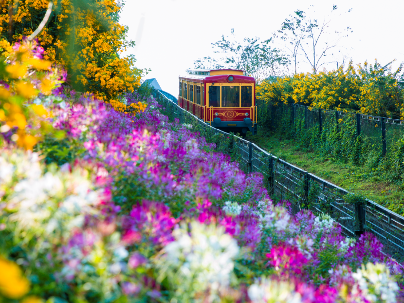 Chuyến đi mang đến cho du khách những góc nhìn hoàn toàn mới về thiên nhiên Sa Pa