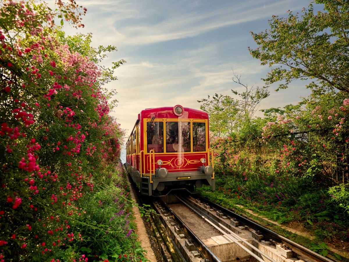 Ngắm trọn thung lũng Mường Hoa từ tuyến tàu hỏa leo núi độc đáo.