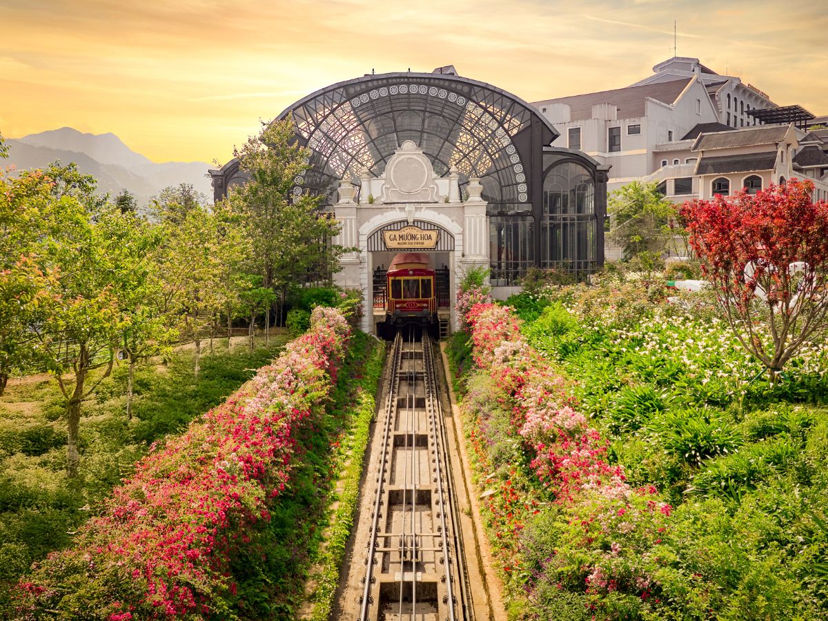 Tàu hỏa leo núi Mường Hoa mở ra hành trình ngắm trọn cảnh sắc Tây Bắc. 