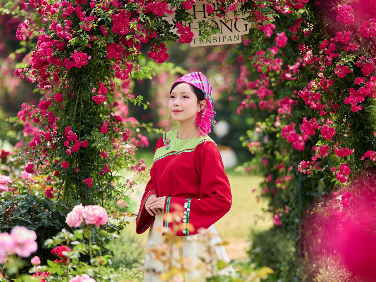 Khám phá Sun World Fansipan Legend và tận hưởng hành trình giữa núi rừng hùng vĩ. 