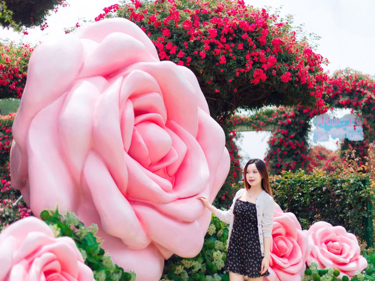 Lối dẫn xuyên qua thung lũng hoa Fansipan Legend - mỗi bước chân đều ngập tràn hương sắc 