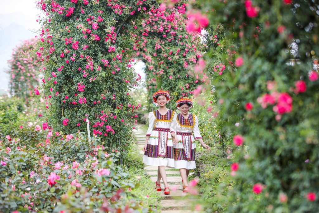 Check-in giữa vườn hồng Fansipan Legend.