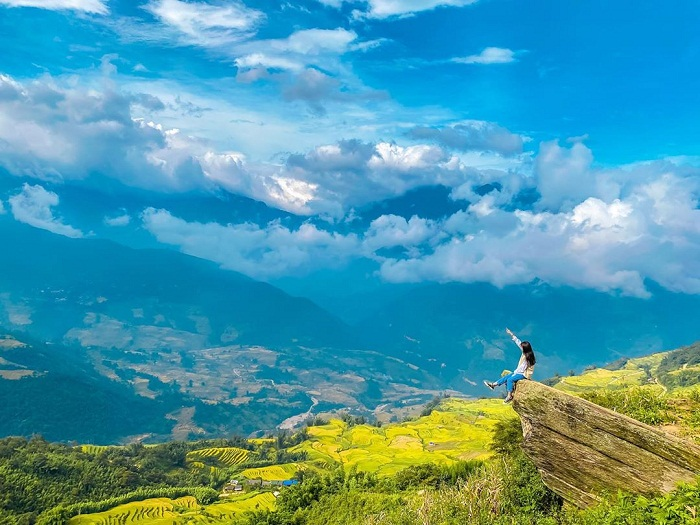 Phóng tầm mắt xuống những triền ruộng bậc thang rực rỡ trong mùa vàng tại Y Tý. 