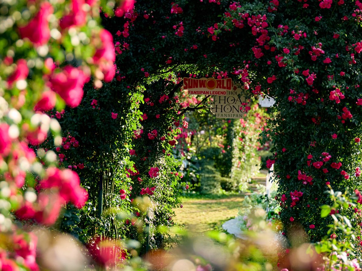 Sun World Fansipan Legend mang đến tầm nhìn núi rừng hùng vĩ.