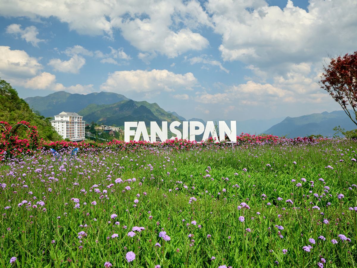 Sun World Fansipan Legend mang đến tầm nhìn núi rừng hùng vĩ.